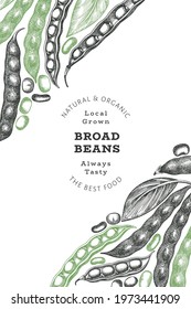 Hand drawn broad beans design template. Organic fresh food vector illustration. Retro pods illustration. Engraved botanical style cereal background.