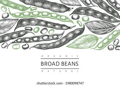 Hand drawn broad beans design template. Organic fresh food vector illustration. Retro pods illustration. Engraved botanical style cereal background.