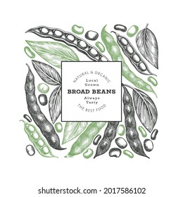 Hand drawn broad beans design template. Organic fresh food vector illustration. Retro pods illustration. Engraved botanical style cereal background.