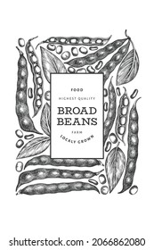 Hand drawn broad beans design template. Organic fresh food vector illustration. Retro pods illustration. Engraved botanical style cereal background.