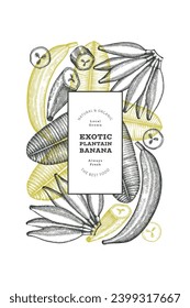 Hand drawn broad beans design template. Organic fresh food vector illustration on chalk board. Retro pods illustration. Botanical style cereal background.