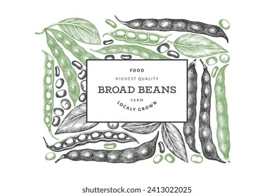 Hand drawn broad beans design template. Organic fresh food vector illustration. Retro pods illustration. Engraved botanical style cereal background.