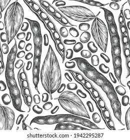 Hand drawn broad beans seamless pattern. Organic fresh food vector illustration. Retro pods illustration. Engraved botanical style cereal background.