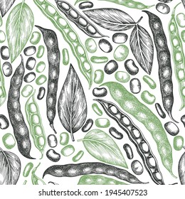 Hand drawn broad beans seamless pattern. Organic fresh food vector illustration. Retro pods illustration. Engraved botanical style cereal background.