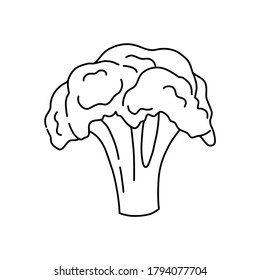 Brocoli dibujado a mano en línea negra, icono simple en estilo doodle. Ilustración vectorial sobre fondo blanco aislado. 