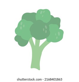 Hand drawn Broccoli in cartoon style. Green food elements. Vector illustration isolated on white background