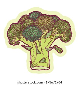 Hand drawn broccoli cartoon vector.