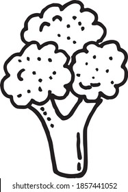 Hand drawn of broccoli icon