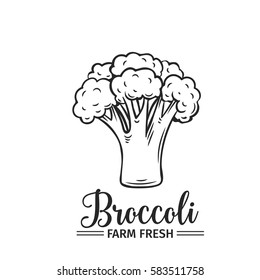 Hand drawn broccoli icon. Vector badge vegetable in the old ink style for brochures, banner, restaurant menu and market