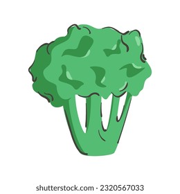 Brocoli dibujado a mano aislado en un fondo blanco. Ilustración vectorial. Colorido y minimalista. Para pegatinas y diseño.