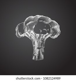 Hand drawn broccoli sketch symbol. Vector nutrition element in trendy style.