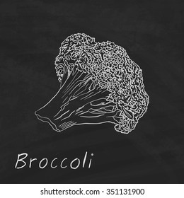 Hand drawn broccoli vector illustration on black chalkboard.