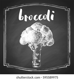 Hand drawn broccoli vegetable, chalk sketch in square frame on blackboard background with type. Vintage food vector illustration.