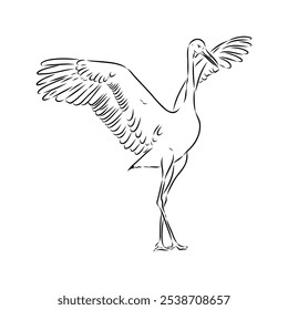 Dibujado a mano Brolga, ilustración de grúa australiana