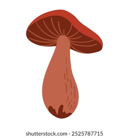 Dibujado a mano Brown Boletus Mushroom Ilustración aislada sobre fondo blanco. Cosecha de bosque de otoño. Flora de la temporada de otoño