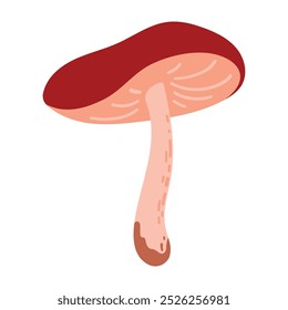 Dibujado a mano Brown Boletus Mushroom Ilustración aislada sobre fondo blanco. Cosecha de bosque de otoño. Flora de la temporada de otoño