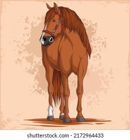 Hand drawn brown horse with soft wave hair looking to the side isolated on plaster background