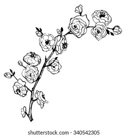 Hand drawn brunch with flowers