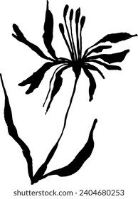 Hand Drawn Brush Ink Grunge Iris Flower