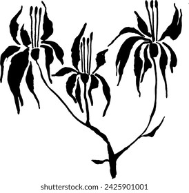 Hand Drawn Brush Ink Grunge Iris Flower