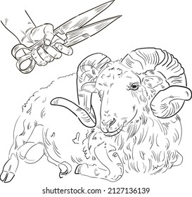 Hand drawn brush ink illustration isolated on white background. Sketch. Doodles. Black and white. Sheep shearing scissors in a hand of a man. Engraved.