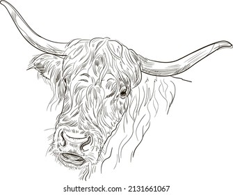 203 Long hair cow Stock Illustrations, Images & Vectors | Shutterstock