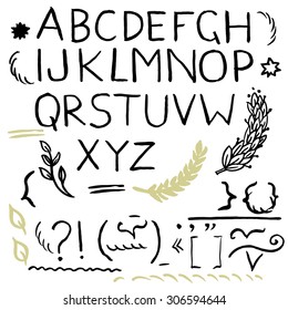 Hand drawn brush monochrome design elements. Elegant calligraphic flourishes and artistic font.