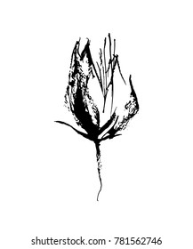 Hand drawn brush paint flower painted by ink. Vector stylized decorative imperfec silhouette. Grunge style element. Black isolated on white background.