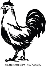 Hand drawn brush strokes rooster.rooster background,,rooster icon