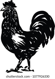 Hand drawn brush strokes rooster.rooster background,,rooster icon