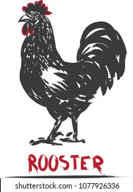 Hand drawn brush strokes rooster.rooster background,rooster icon