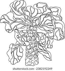 Hand drawn brussels sprouts in engraving style on white background. Vector vegetables illustration. Coloring pages with brussels cabbage 