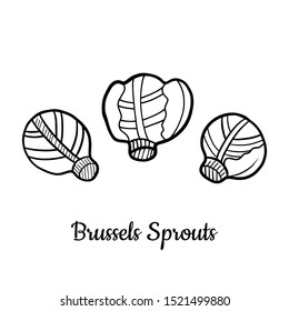 Hand drawn Brussels Sprouts isolated on a white. Vegetables drawings. Vector illustration.