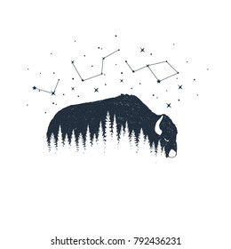 Hand drawn buffalo and constellations textured vector illustrations.