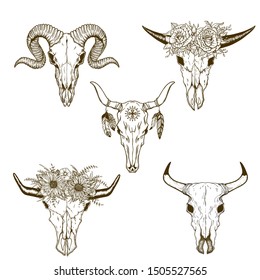 Hand drawn Buffalo Skull Native American Totem set