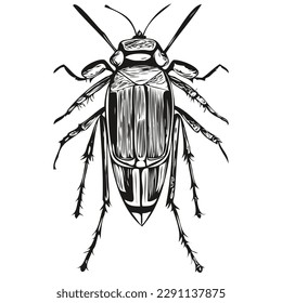 Bugs dibujados a mano en fondo blanco
