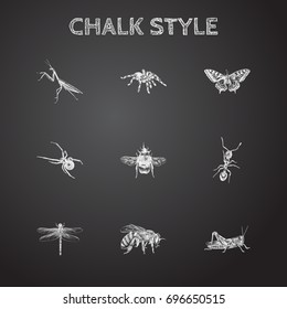 Hand Drawn Bug Sketches Set. Collection Of Mantis, Bee, Monarch And Other Sketch Elements.