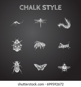 Hand Drawn Bug Sketches Set. Collection Of Monarch, Ground Beetle, Worm And Other Sketch Elements.