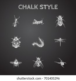 Hand Drawn Bug Sketches Set. Collection Of Mantis, Housefly, Black Widow And Other Sketch Elements.