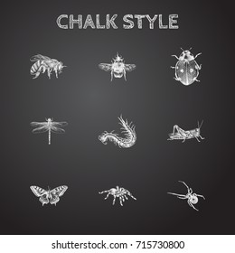 Hand Drawn Bug Sketches Set. Collection Of Spider, Bee, Worm And Other Sketch Elements.