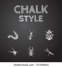 Hand Drawn Bug Sketches Set. Collection Of Ladybird, Herculeanus, Insect And Other Sketch Elements.