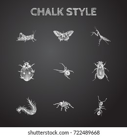 Hand Drawn Bug Sketches Set. Collection Of Mantis, Black Widow, Ladybird And Other Sketch Elements.