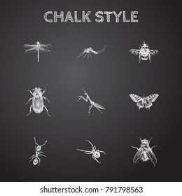 Hand Drawn Bug Sketches Set. Collection Of Damselfly, Grasshopper, Black Widow And Other Sketch Elements.