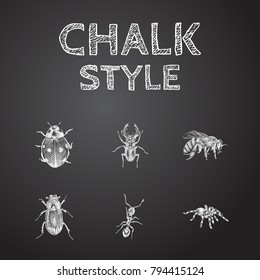 Hand Drawn Bug Sketches Set. Collection Of Ladybird, Insect, Spider And Other Sketch Elements.