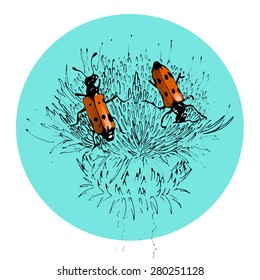 Hand drawn bugs on flower