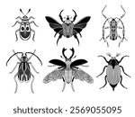 Hand drawn bugs set. Beetle, chafer, scarab, stag beetle