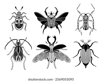 Hand drawn bugs set. Beetle, chafer, scarab, stag beetle