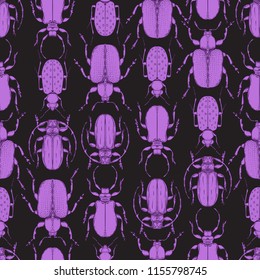 Hand drawn bugs in vintage style. Seamless pattern. Beetles vector illustration isolated. Retro repetition nature inspired texture.