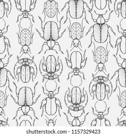 Hand drawn bugs in vintage style. Seamless pattern. Beetles vector illustration isolated. Retro repetition nature inspired texture.