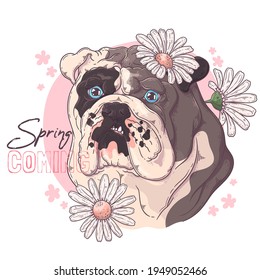 Hand drawn bulldog with flowers Vector. Isolated objects for your design. Each object can be changed and moved.